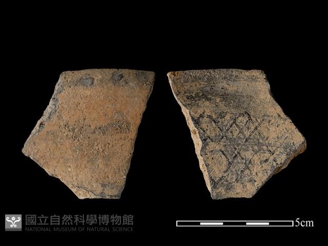 陶片藏品圖，第1張
