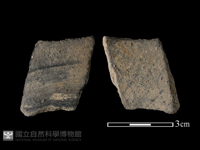 陶片藏品圖，第1張