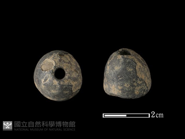 紡輪藏品圖，第1張
