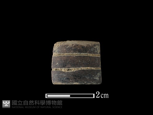 陶環藏品圖，第1張