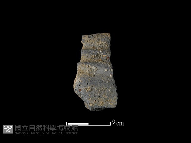 陶片藏品圖，第1張