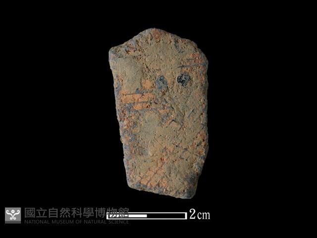 陶片藏品圖，第1張