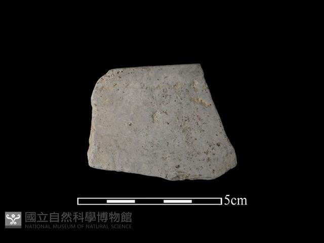 陶片藏品圖，第1張