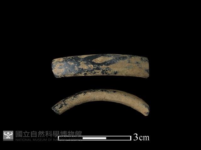 陶環藏品圖，第1張