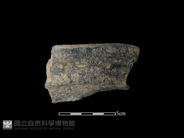 陶罐藏品圖，第1張