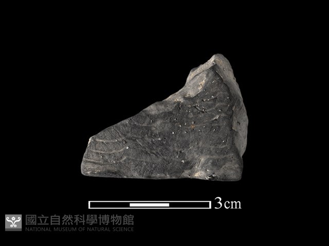 陶缽藏品圖，第1張
