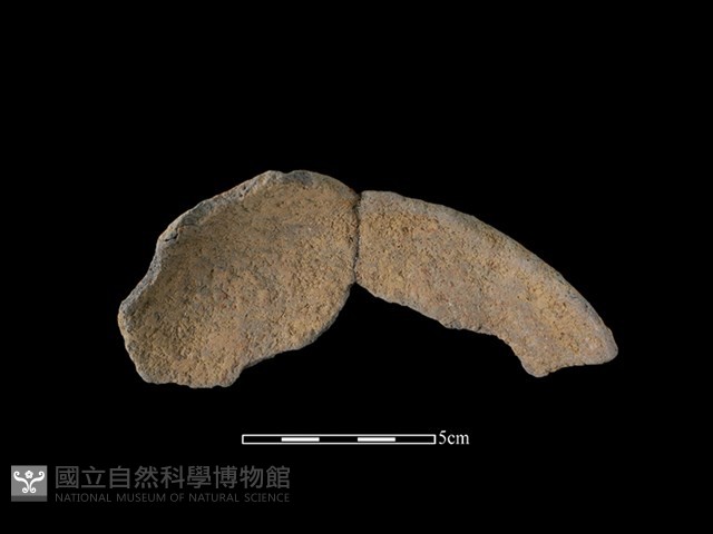 陶片藏品圖，第1張