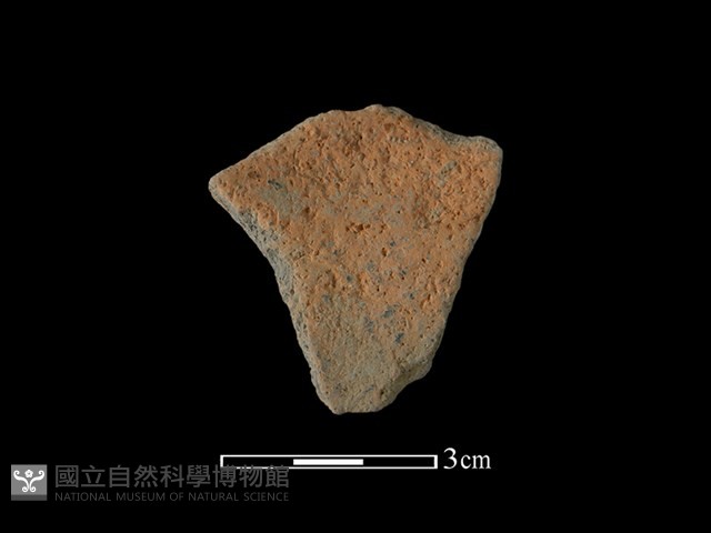 陶片藏品圖，第1張