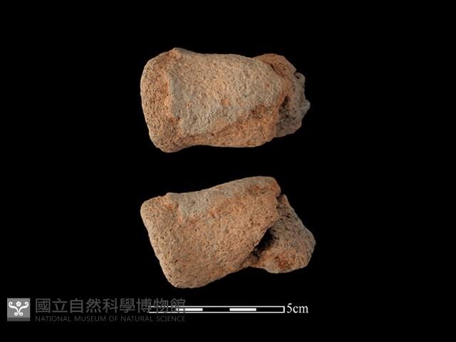 陶把藏品圖，第1張