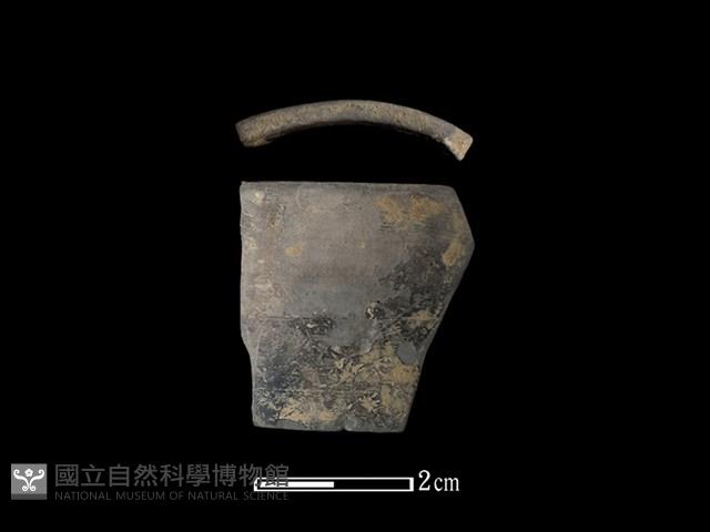 陶環藏品圖，第1張