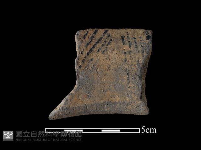 陶片藏品圖，第1張