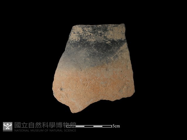 陶缽藏品圖，第1張