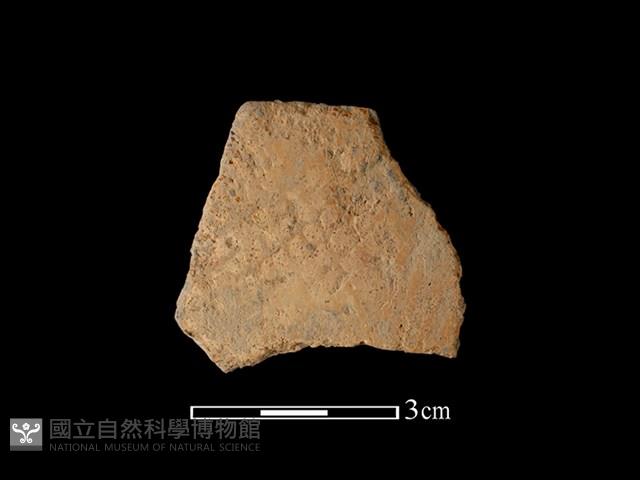 陶片藏品圖，第1張