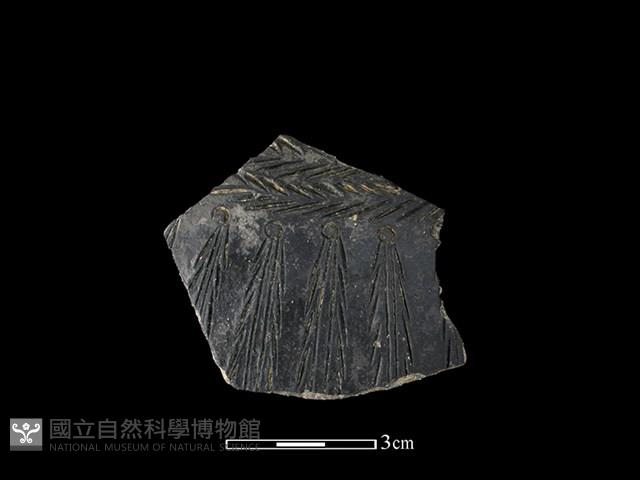 陶片藏品圖，第1張