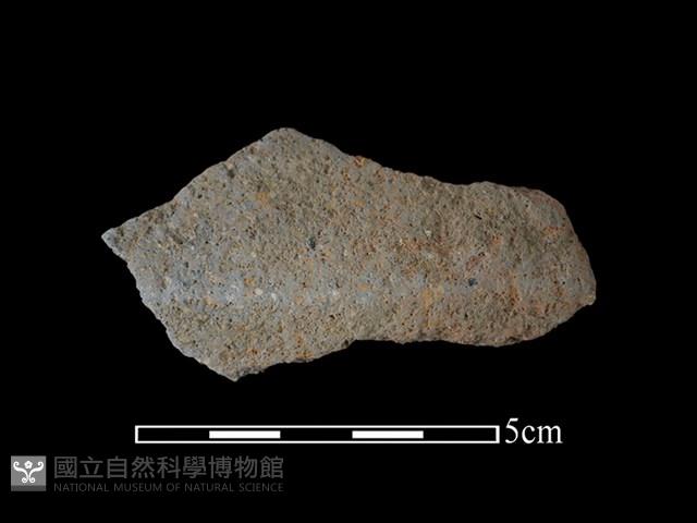 陶片藏品圖，第1張