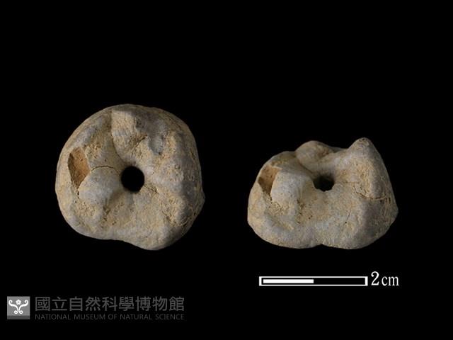 紡輪藏品圖，第1張