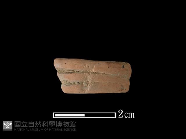 陶環藏品圖，第1張