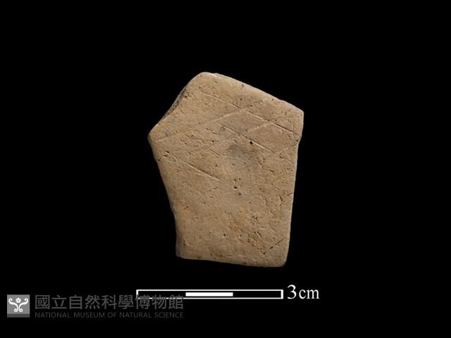 陶片藏品圖，第1張