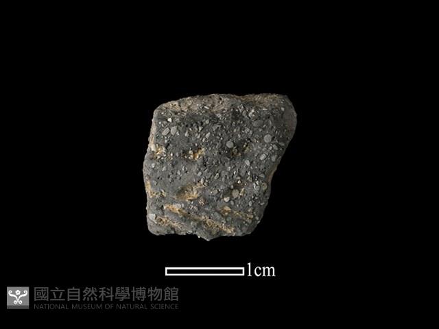 陶片藏品圖，第1張