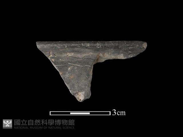 陶缽藏品圖，第1張