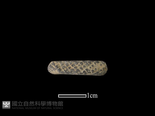 陶環藏品圖，第1張