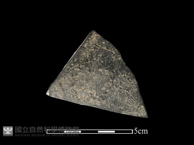 陶片藏品圖，第1張