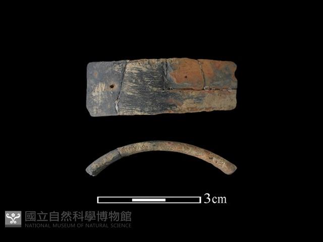 陶環藏品圖，第1張