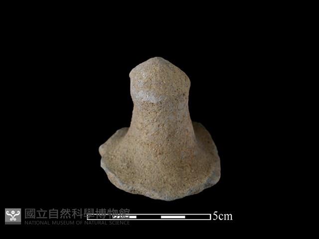 Accession Number:TMLII-PT321 Collection Image, Figure 1, Total 2 Figures