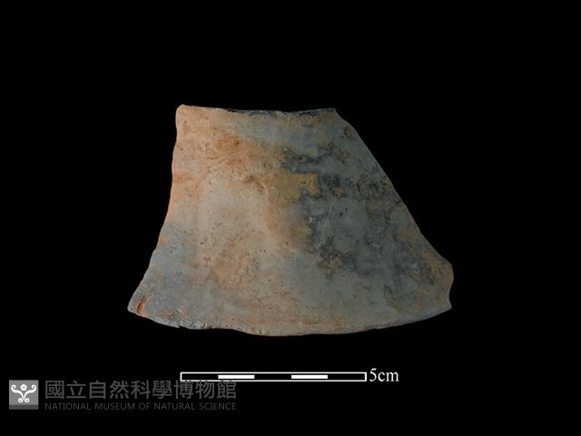 陶片藏品圖，第1張