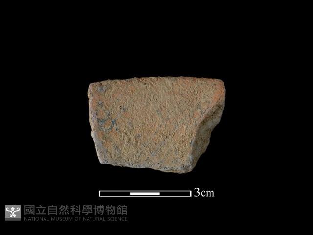 陶片藏品圖，第1張