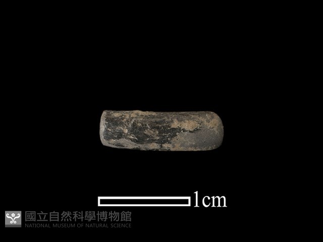陶環藏品圖，第1張