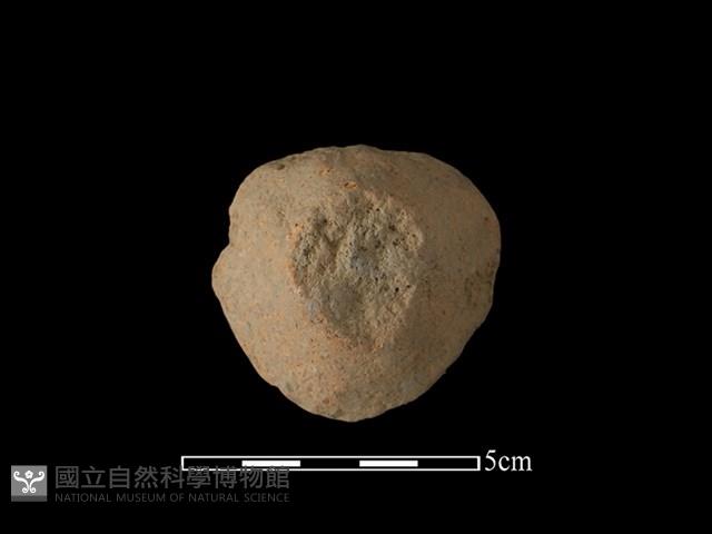 陶蓋鈕藏品圖，第1張