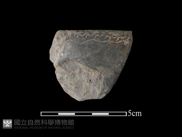 陶缽藏品圖，第1張