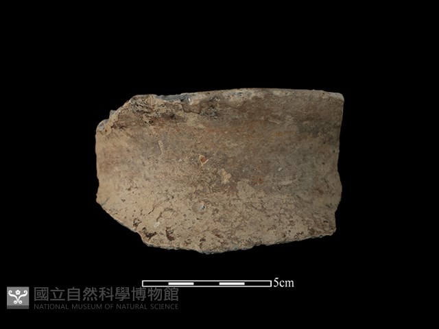 陶罐藏品圖，第1張