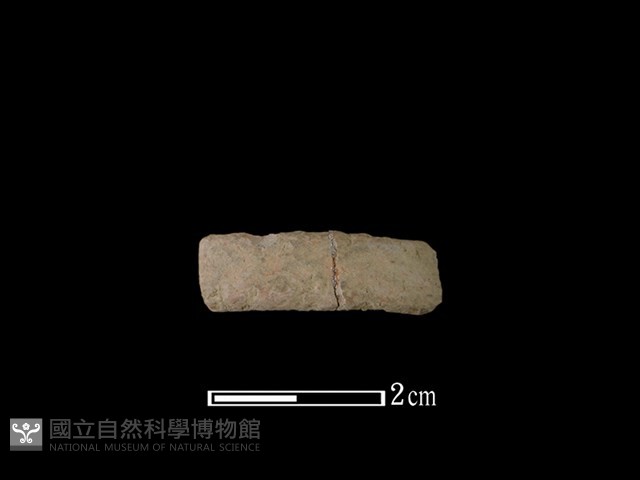 陶環藏品圖，第1張