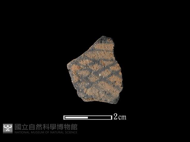 陶片藏品圖，第1張