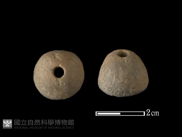紡輪藏品圖，第1張