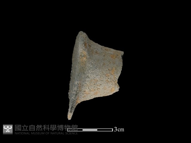 陶把藏品圖，第1張
