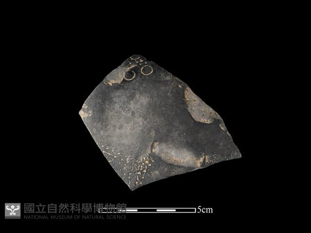 陶片藏品圖，第1張