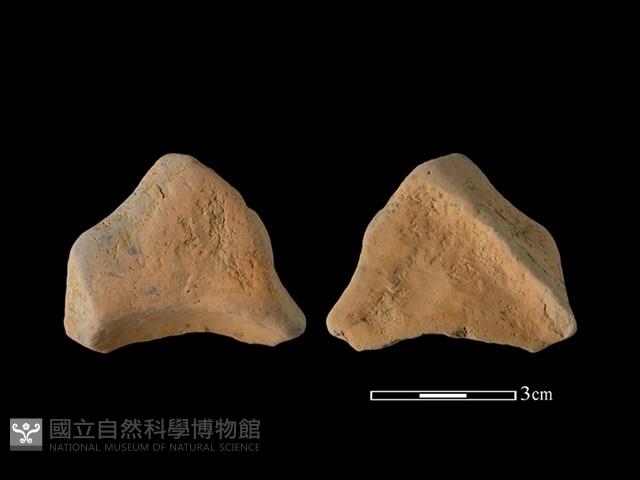 連杯形器藏品圖，第1張