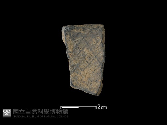 陶片藏品圖，第1張