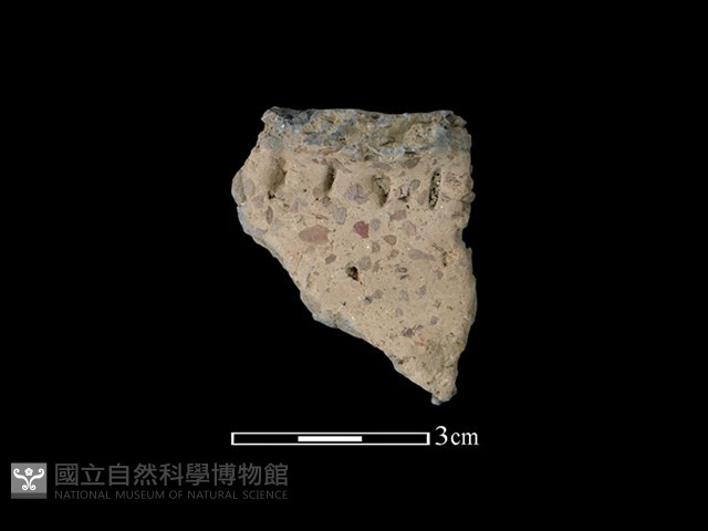 陶片藏品圖，第1張