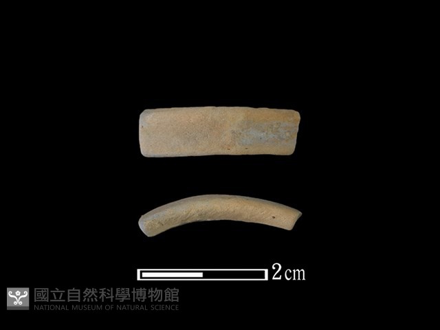 陶環藏品圖，第1張