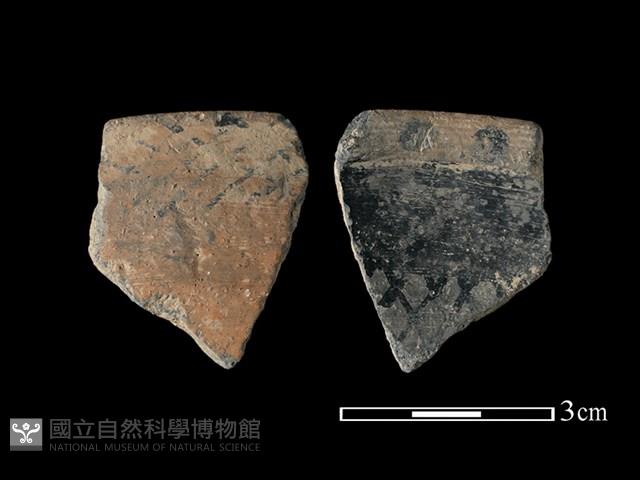 陶片藏品圖，第1張