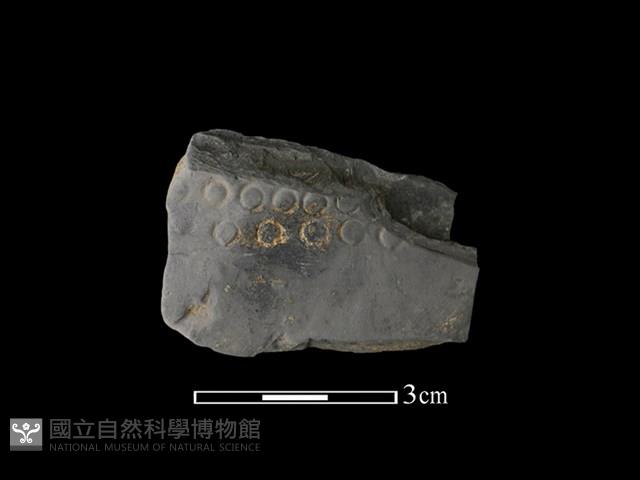 陶片藏品圖，第1張