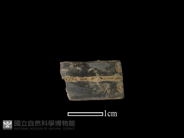 陶環藏品圖，第1張