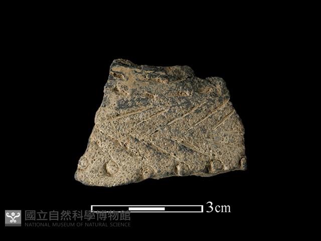 陶片藏品圖，第1張