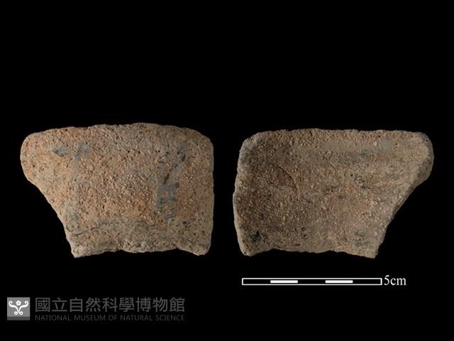 陶片藏品圖，第1張