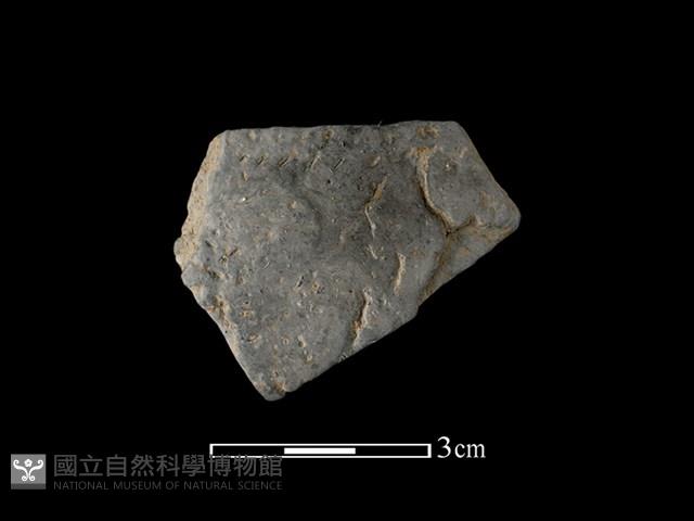 陶片藏品圖，第1張