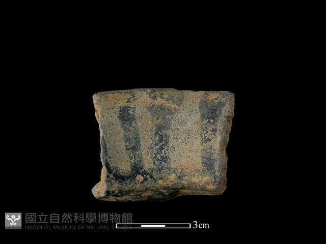陶把藏品圖，第1張